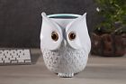 4897080221281 Wasserstein Owl Statue For