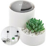 2nd-3rd 759170080908 Haus Bright Echo Dot Holder Google Mini Stand