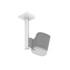 Flxp1cm101 Flexson Ceiling Mount For 702534974832