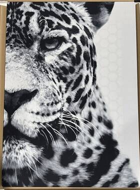 105.478.63 Ikea Symfonisk Panel For Picture Jaguar Frame Speaker 16x22 Inch Black White New