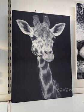 905.478.64 Ikea Symfonisk Panel For Picture Frame Speaker Face The Front Giraffe 16x22 Inch
