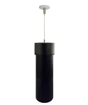 Skymount Pendant Ceiling For The Amazon Echo (1ST Generation). Fixed Price $28.99.
