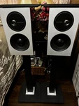 Definitive Demand D11 Bookshelf Speakers, Black Gloss, Stands. Fixed Price $999.98.