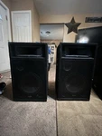 2 Acoustic Audio BR-10S Passive Speakers. Fixed Price $230.00.