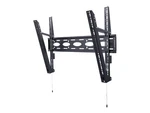 B-tech BT9910/B 2.54M (100") 200 1000MM 600MM 15 Black Steel Xl. Fixed Price $369.77.