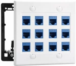 Diytech 12 Port Ethernet Wall Plate, Cat 6, Outlet, RJ45 Female Various. Fixed Price $38.99.