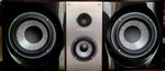 Focal Cc 1008 Be Center Channel. Color Black And Excellent Condition. Fixed Price $2400.00.