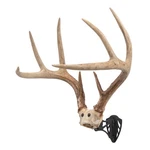 Allen Company Ez Mount Horn Bracket For Antler Display - Brown Solid Steel. Fixed Price $40.65.