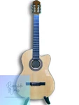Lucero LC-100CE/N Acoustic Electric Guitar. Fixed Price $530.14.